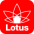 Lotus-Transfer